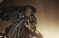 alien Horror james_cameron movie // 1500x982 // 604KB