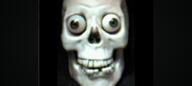 MJBDiver Skull // 1612x720 // 185KB
