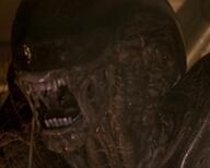 alien alien_3 dragon Horror xenomorph // 1014x811 // 697KB